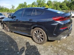
										2023 BMW X6 full									