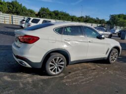 
										2019 BMW X6 full									