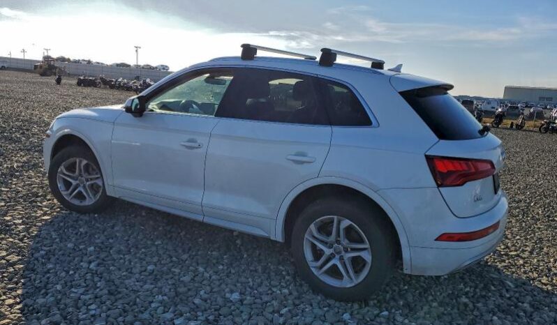 
								2019 Audi Q5 full									