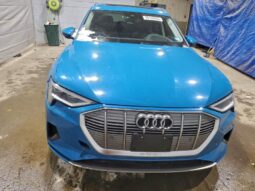 
										2019 Audi E-tron full									