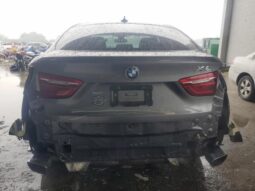 
										2019 BMW X6 full									