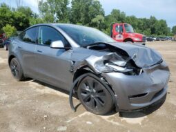 
										2025 Tesla Model y full									