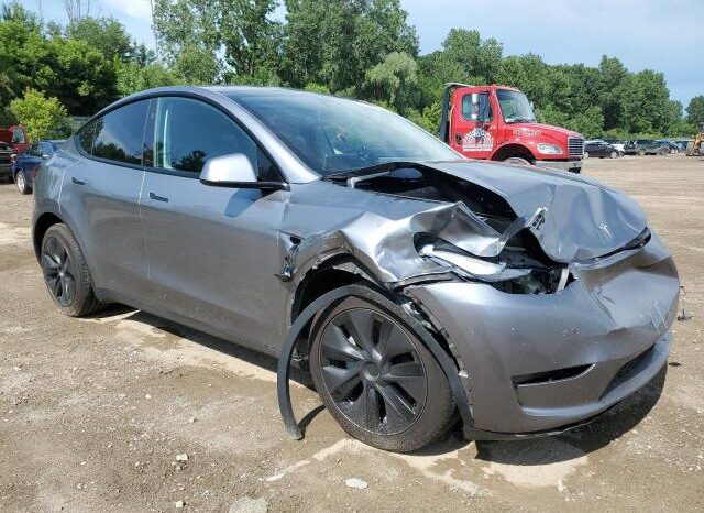 
								2025 Tesla Model y full									