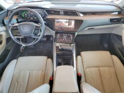 
										2019 Audi E-tron full									