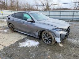 
										2026 BMW X6 full									