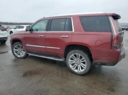 
										2019 Cadillac Escalade full									