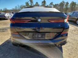 
										2022 BMW X6 full									