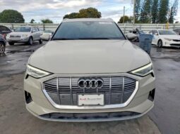 
										2022 Audi E-tron full									