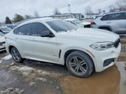
										2015 BMW X6 full									