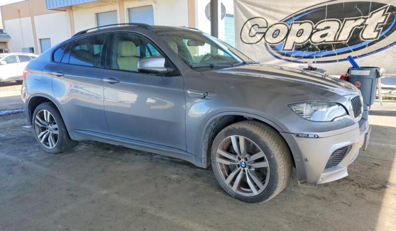 
								2011 BMW X6 full									
