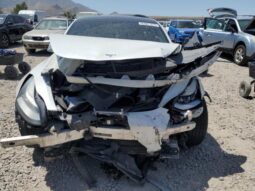 
										2019 Tesla Model 3 full									