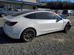 
										2020 Tesla Model 3 full									