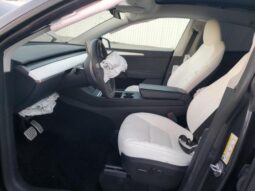 
										2023 Tesla Model y full									