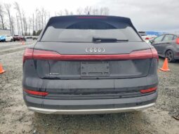 
										2019 Audi E-tron full									