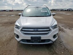 
										2019 Ford Escape tit full									