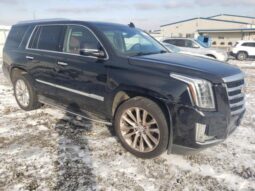 
										2020 Cadillac Escalade full									