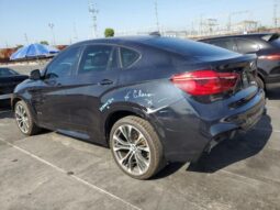 
										2018 BMW X6 full									