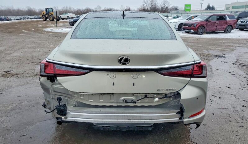 
								2019 Lexus Es 350 full									