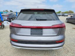 
										2019 Audi E-tron full									