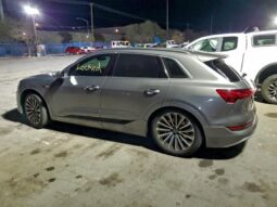 
										2019 Audi E-tron full									