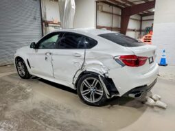 
										2019 BMW X6 full									