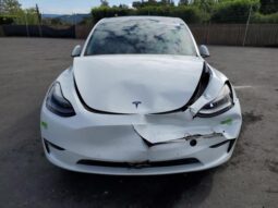 
										2022 Tesla Model y full									