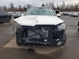 
										2025 Mercedes-benz Gls-klasse full									