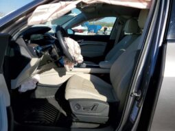 
										2021 Audi E-tron full									