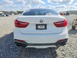 
										2018 BMW X6 full									