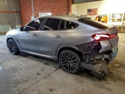 
										2025 BMW X6 full									