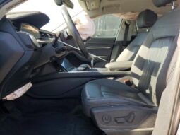 
										2019 Audi E-tron full									