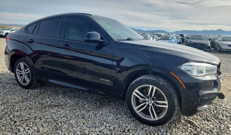 
								2018 BMW X6 full									