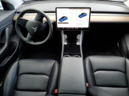 
										2019 Tesla Model 3 full									