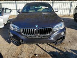 
										2019 BMW X6 full									
