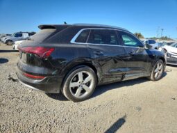 
										2019 Audi E-tron full									