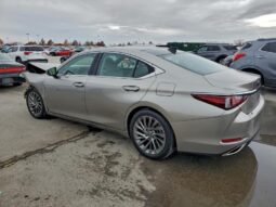 
										2019 Lexus Es 350 full									