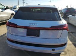 
										2019 Audi E-tron full									