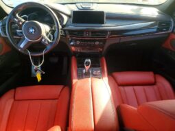
										2019 BMW X6 full									