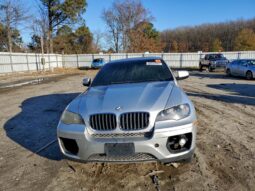 
										2008 BMW X6 full									