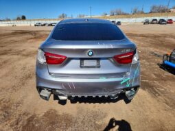 
										2018 BMW X6 full									