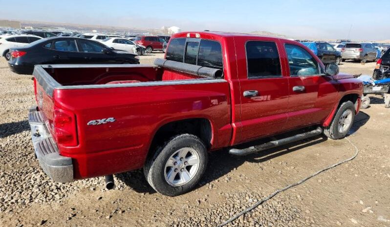 
								2008 Dodge Dakota full									