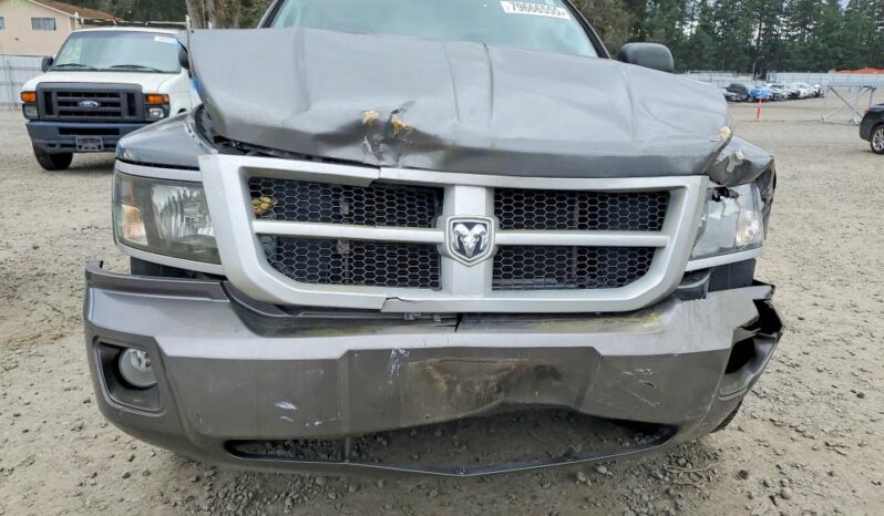 
								2011 Dodge Dakota full									