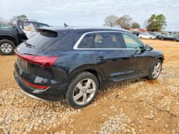 
										2019 Audi E-tron full									