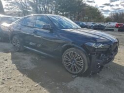 
										2024 BMW X6 full									