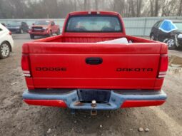 
										2004 Dodge Dakota full									