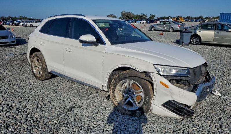 
								2019 Audi Q5 full									