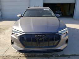 
										2022 Audi E-tron full									