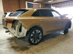 
										2025 Audi Q8 full									