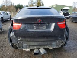 
										2010 BMW X6 full									