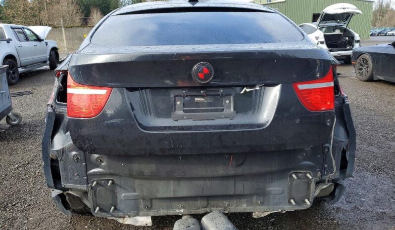 
								2010 BMW X6 full									